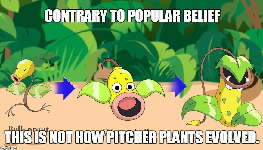 Why Are Some Plants Carnivorous?