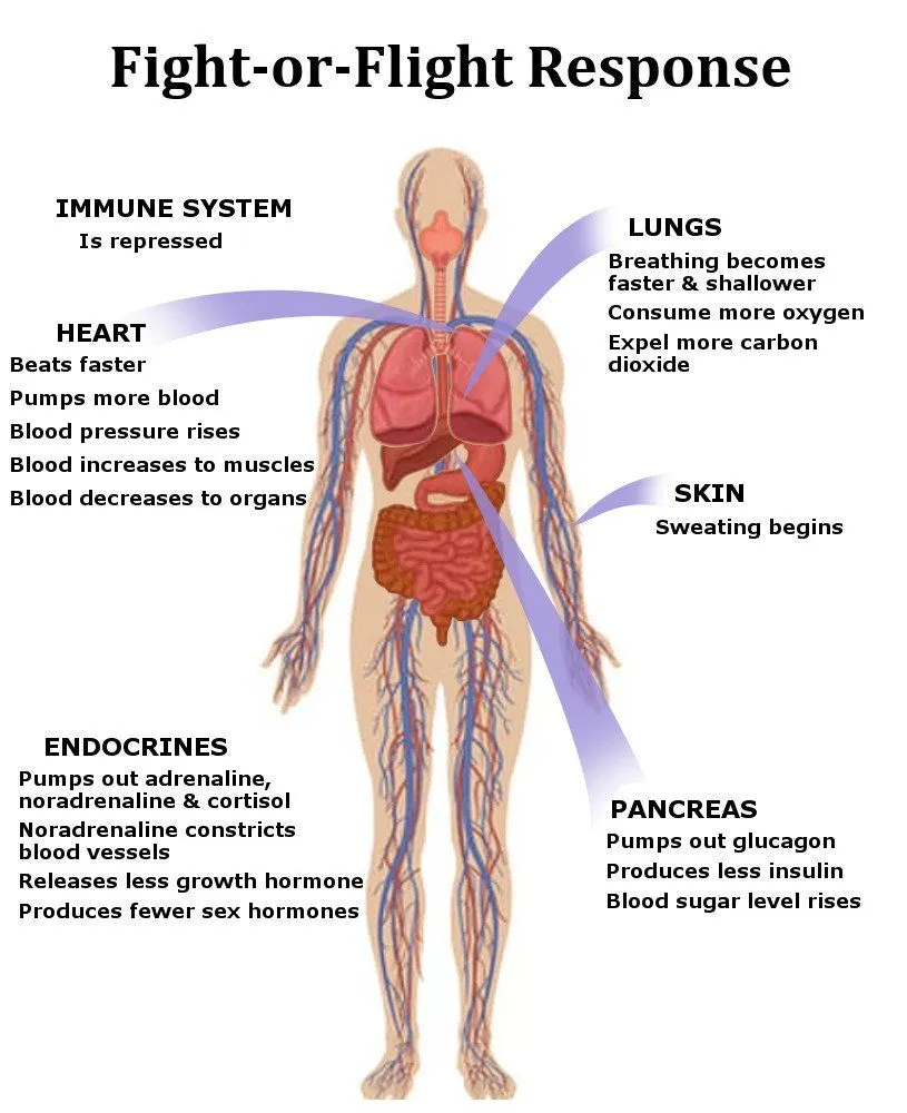 Why Do Some People Not Feel Hungry When They’re Stressed?