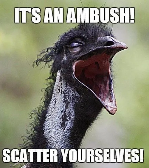 What Was The Emu War Of Australia And What Was The Outcome?