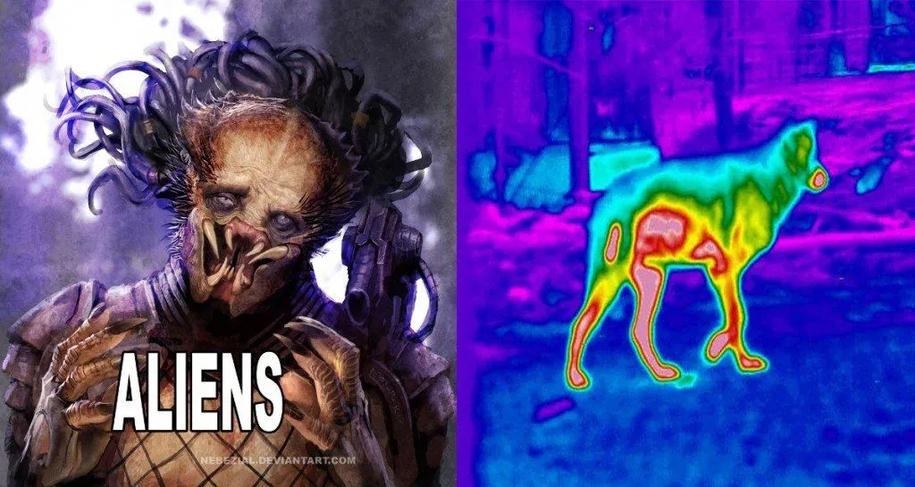 Why Are Infrared Waves Associated With Heat?