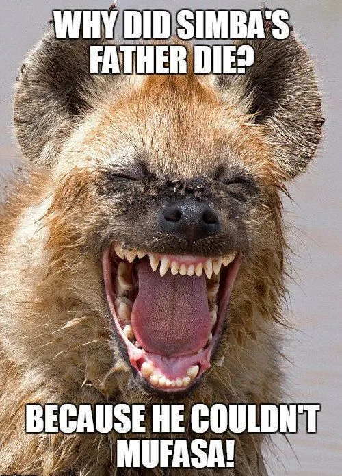 Why Do Hyenas Laugh?