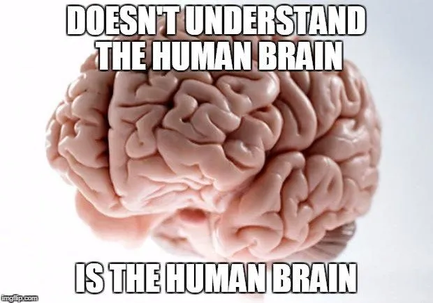 Why Don’t Patients Of Memory Loss Forget Their Language?