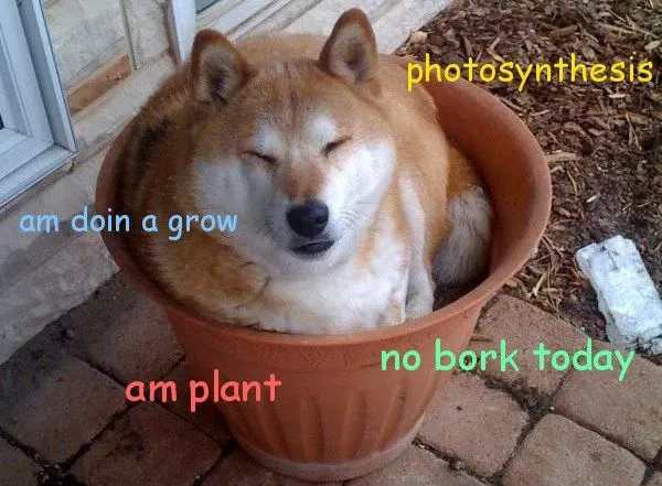 Nature’s wonders, I tell you.