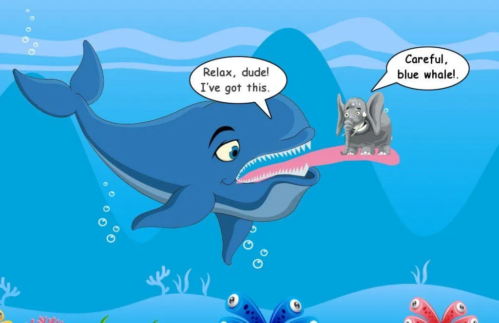 How Do Whales Survive By Eating Krill?