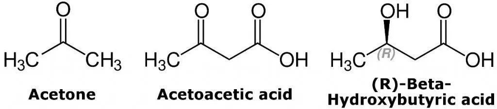 Why Does Your Breath Smell Bad When You Haven’t Eaten For A While?