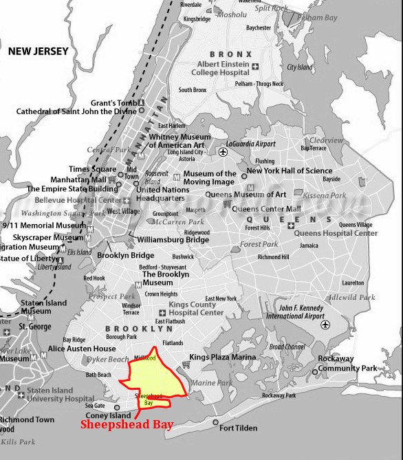 Did you know that the Sheepshead Bay section of New York City was named after the sheepshead fish? (Photo Credit : Flickr)
