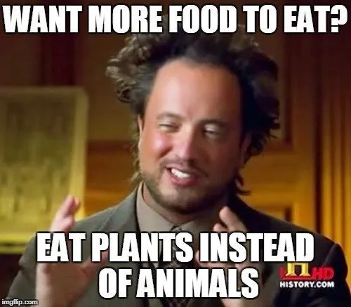 How Do Whales Survive By Eating Krill?