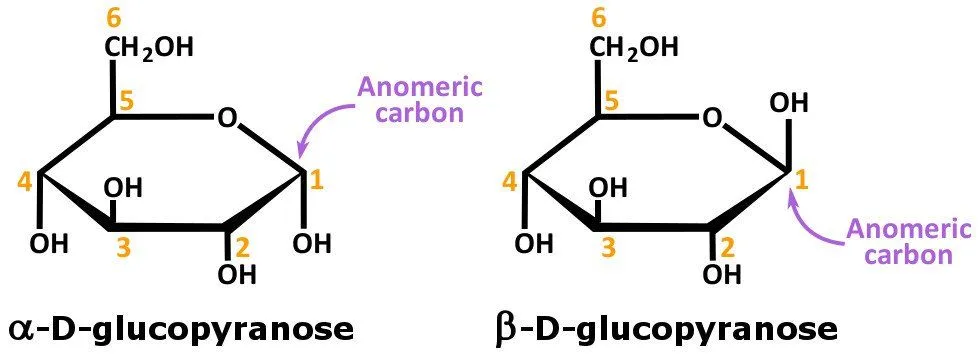 What’s The Difference Between Epimers And Anomers?