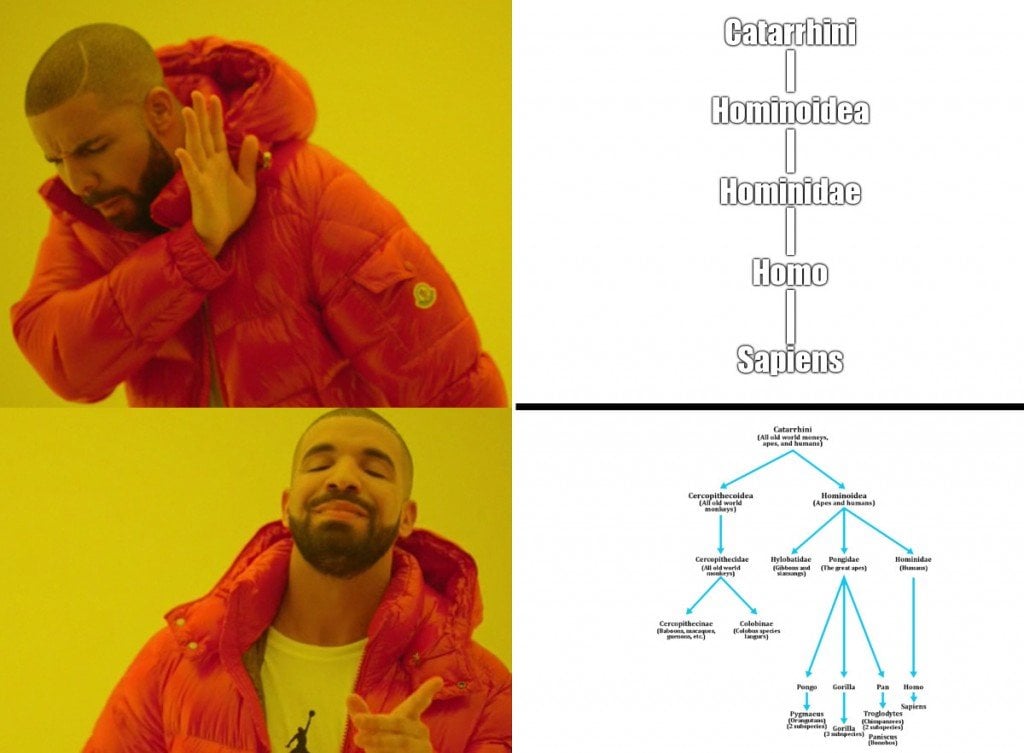 Drake meme