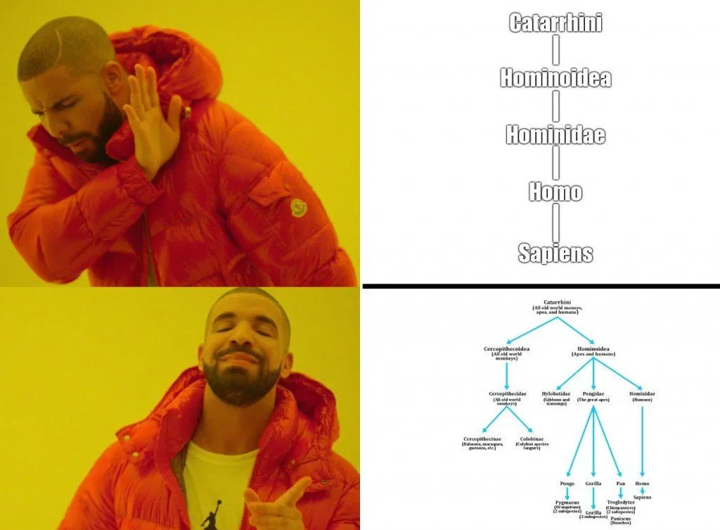 Drake meme