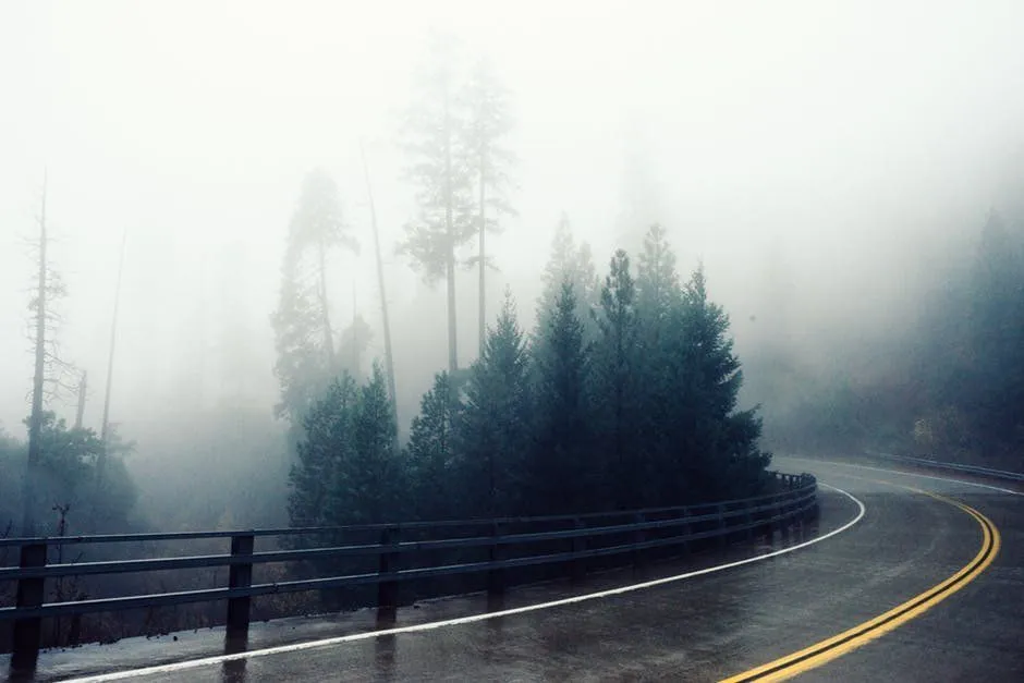 Fog on road