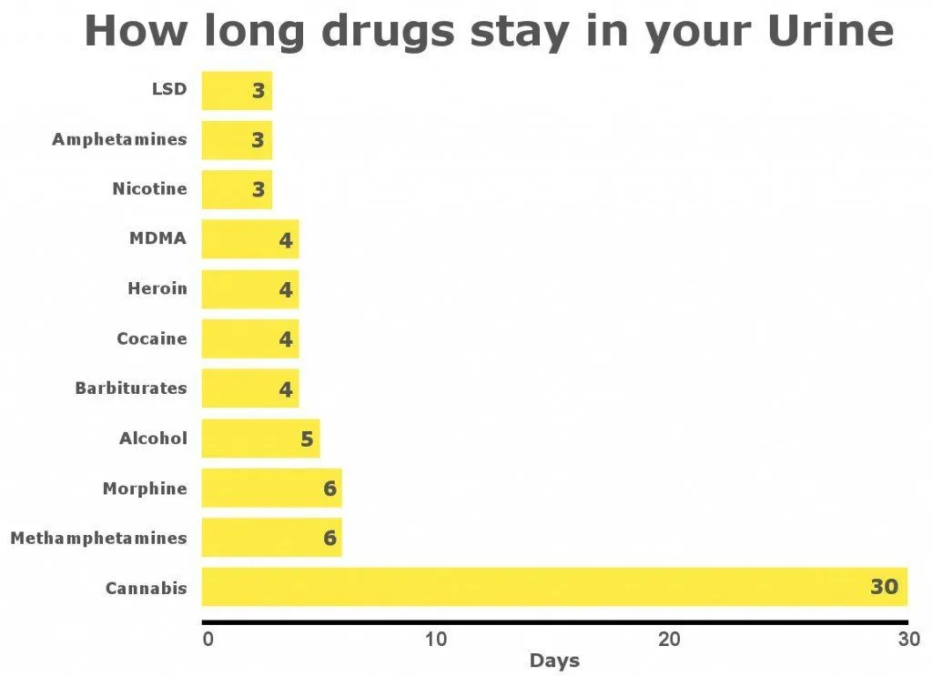 How Long Do Drugs Stay In Your System?