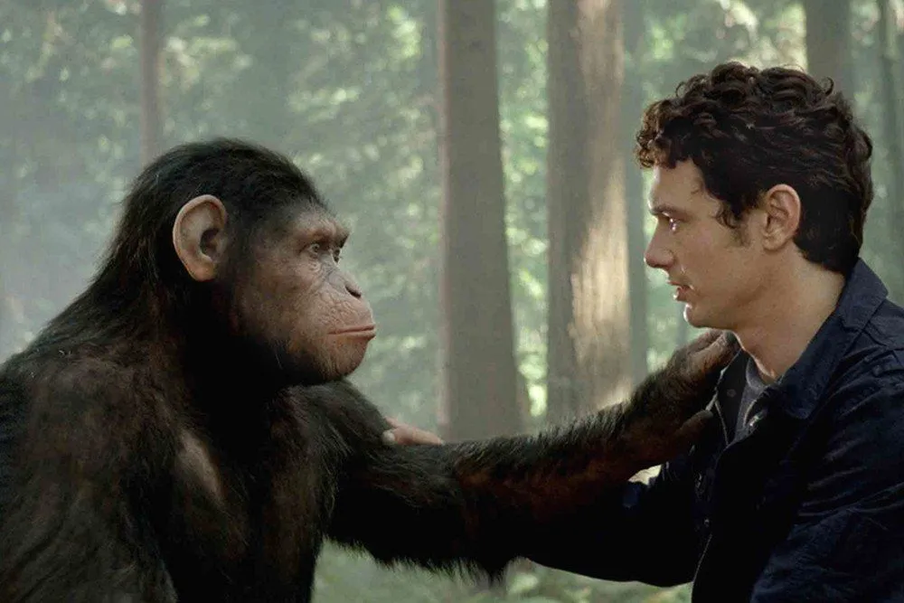 If Humans Evolved From Apes, Why Do Apes Still Exist?