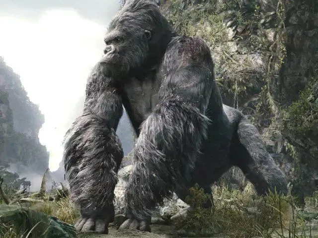 What would it be like if his name was “Kong King”?(Photo Credit : King Kong (2005 film)  / Universal Pictures)