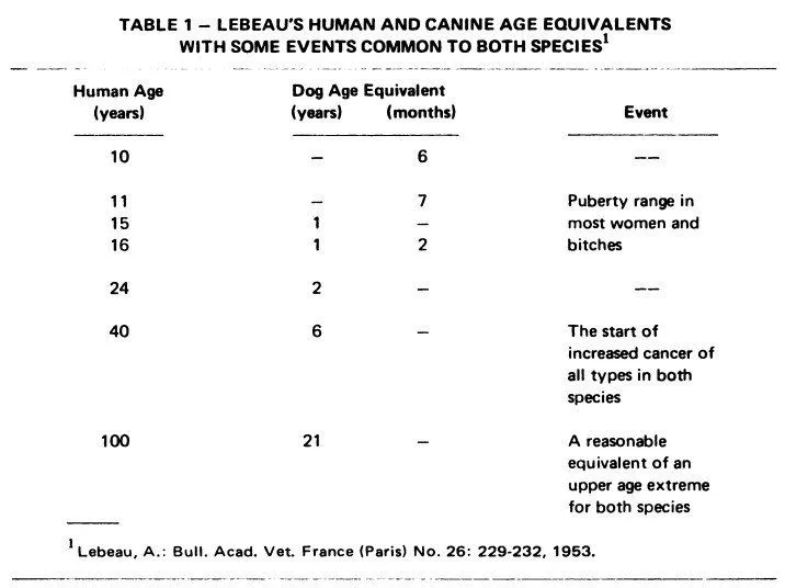 Lebeau's Research Book
