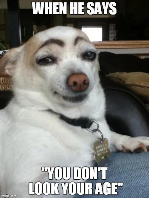 Does One Dog Year Equal Seven Human Years?