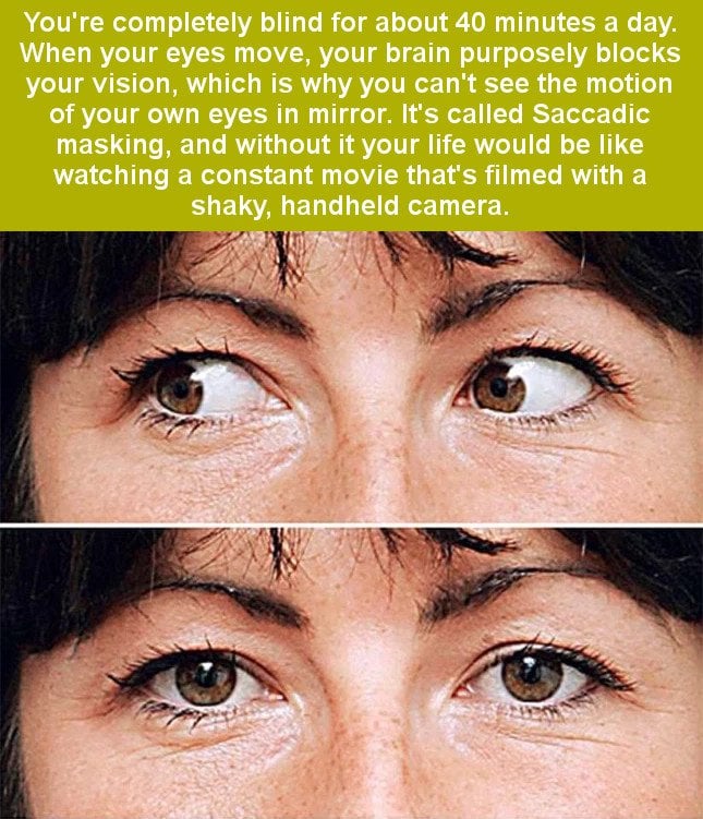Youre completely blind for about 40 minutes a day when