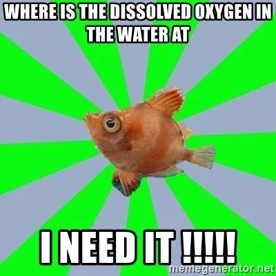 Why Does Water Appear White While Going Over A Waterfall?