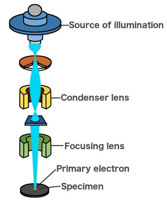 What Is An Electron Microscope? How Does It Work?