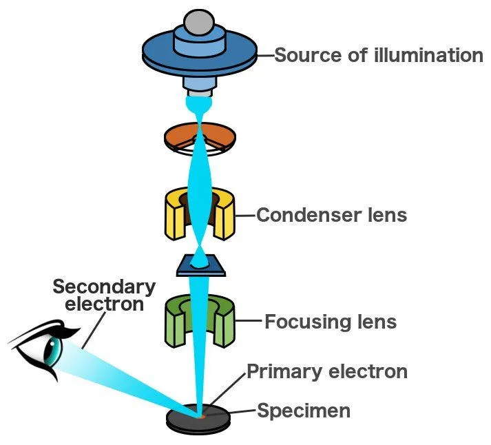 What Is An Electron Microscope? How Does It Work?