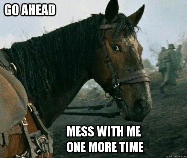 Mounted Police: Why Do Policemen In Some Big Cities Still Use Horses?