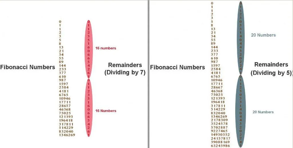 What Is The Fibonacci Sequence? Why Is It So Special?
