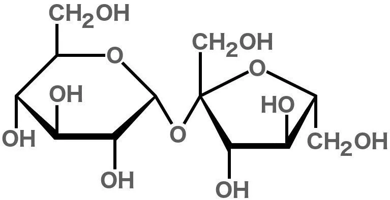 Sucrose structure Skeletal formula of sucrose