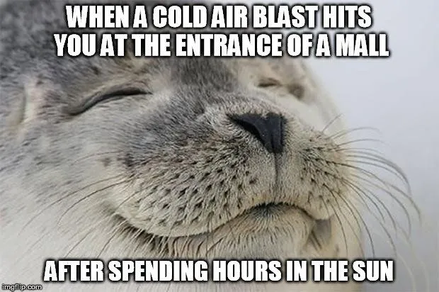 Why Is There A Blast Of Cold/Hot Air At The Entrances Of Shopping Malls?