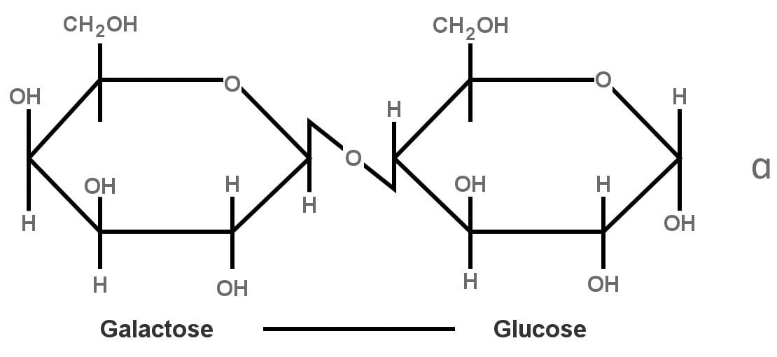 structure of lactose