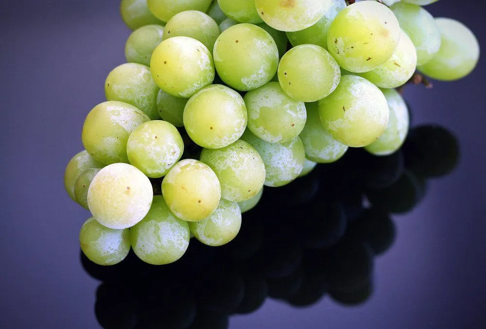 Parthenocarpy: How Are Seedless Grapes Made?