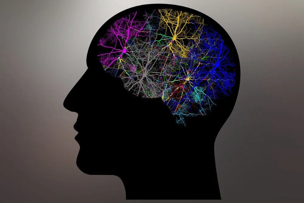 What Is A Synapse? What Is A Neurotransmitter? How Do They Work?