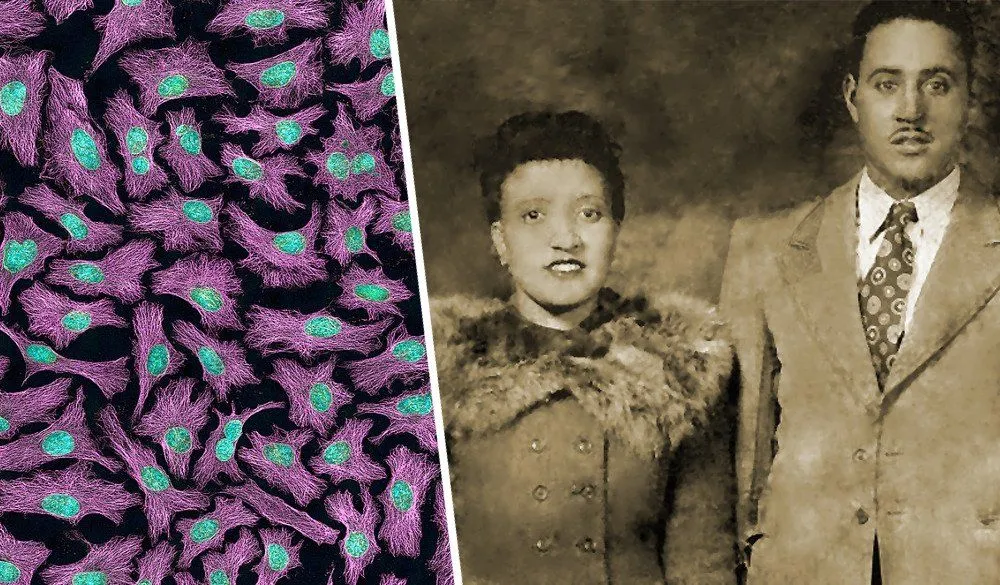 Henrietta Lacks: Who Was She? Why Are HeLa Cells Immortal?