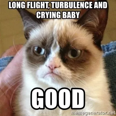 Long flight, turbulance & crying baby good meme