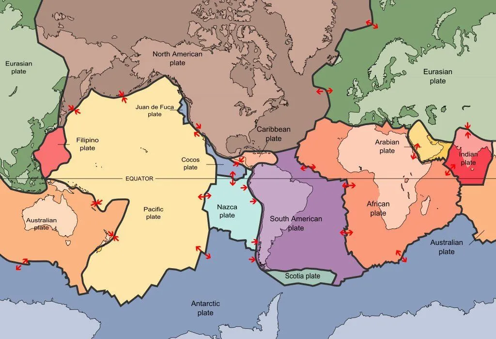 Continental Drift Theory: How Is It Different From Plate Tectonics?
