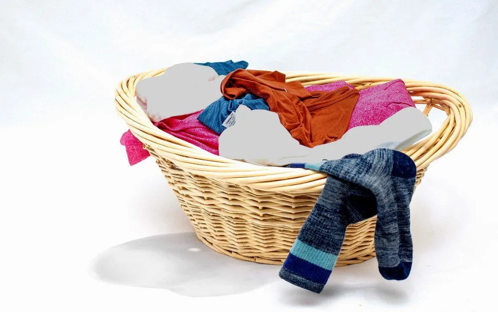 Why Do Damp Clothes Smell Bad?