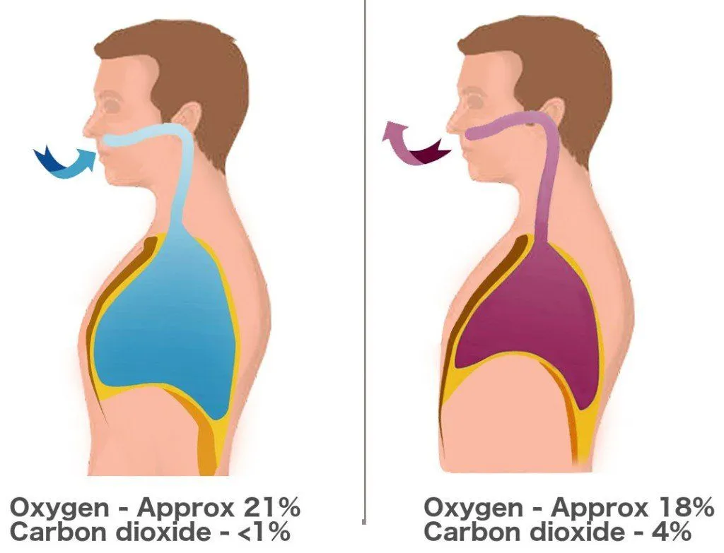 Breathing diagram oxygen carbon dioxide