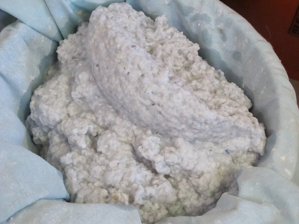 paper pulp