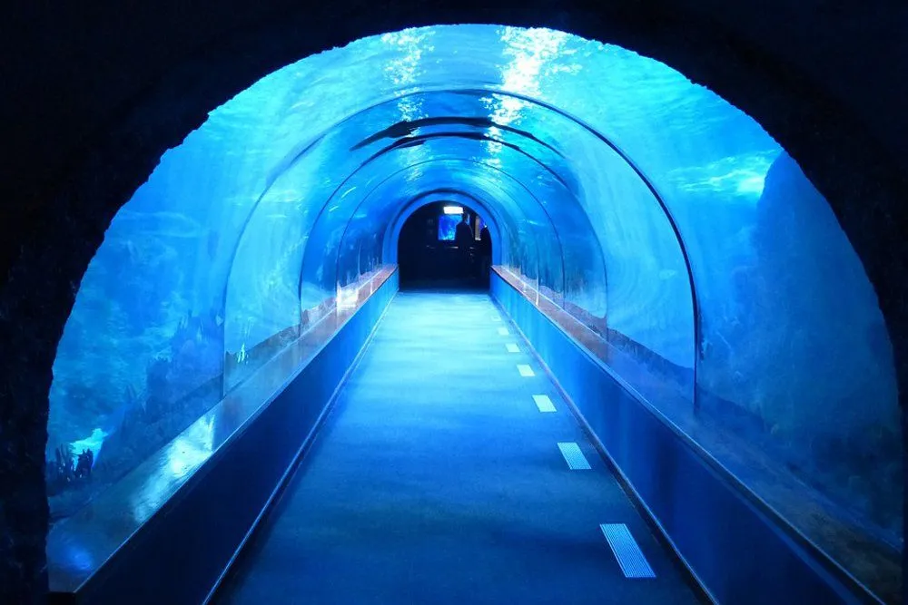 Underwater Tunnel: How Do They Build Underwater Tunnels?