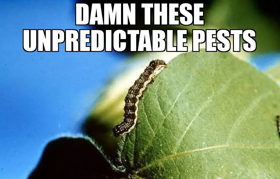 What Is Endogeneity? What Is An Exogenous Variable?