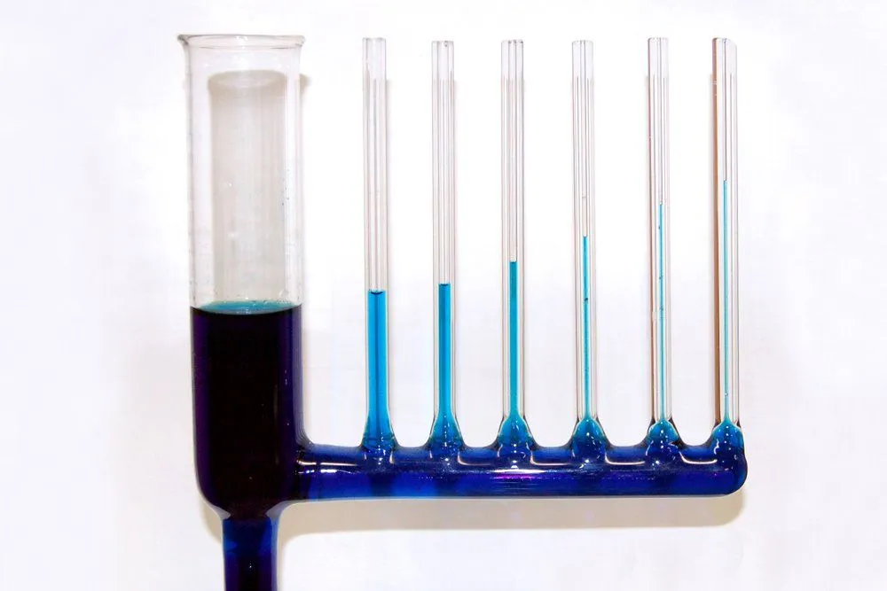 capillary action water