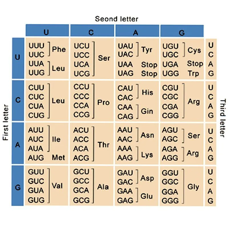 chart pu3