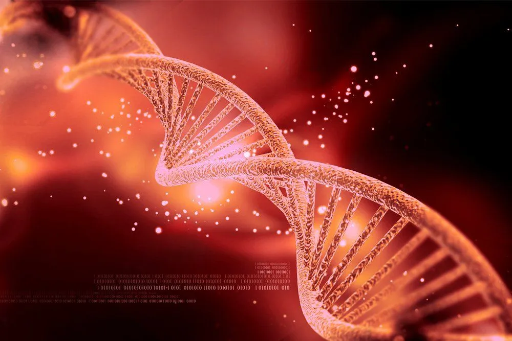 Avery, Macleod And McCarty; Hershey-Chase DNA Experiments