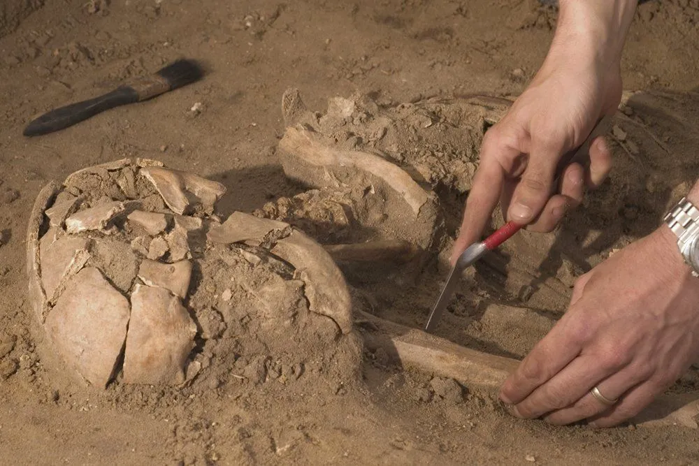 How Carbon Dating Works?