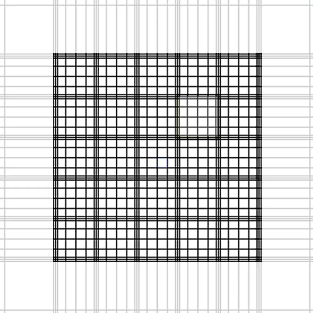 center square, hemocytometer