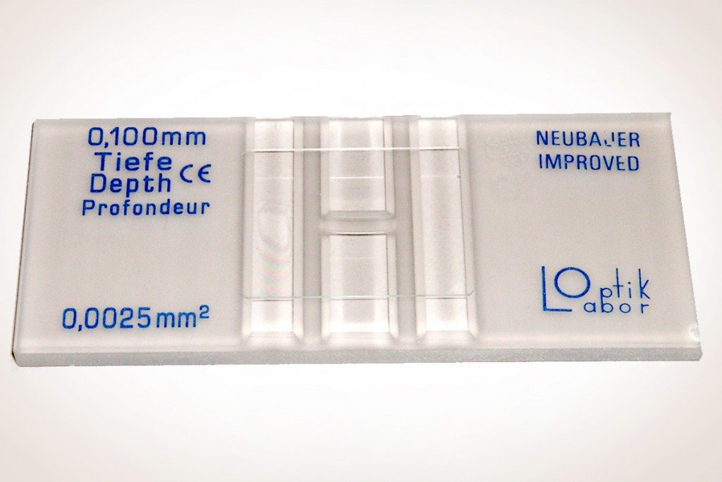 counting chember hemocytometer