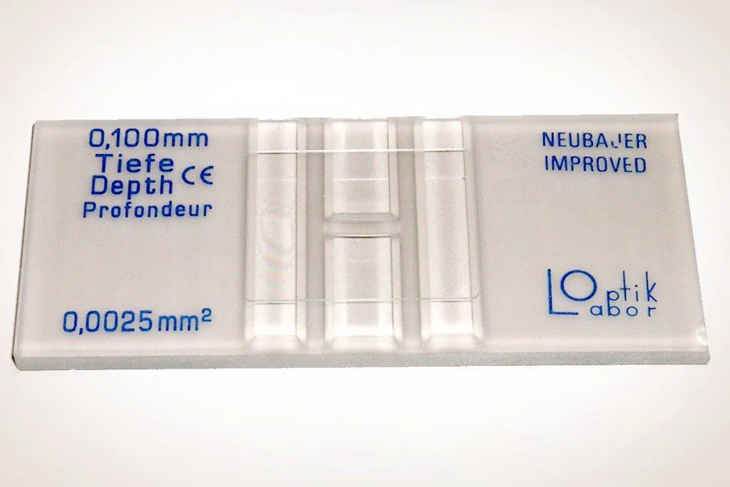 counting chember hemocytometer