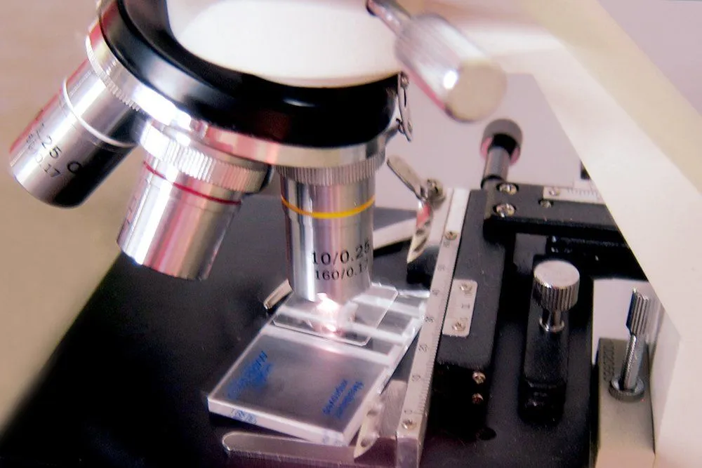 What Is A Hemocytometer: Definition, Calculation, Counting, & Structure