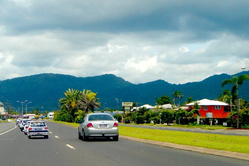 Do Plants Next To Roads Absorb Pollution And Become Harmful?