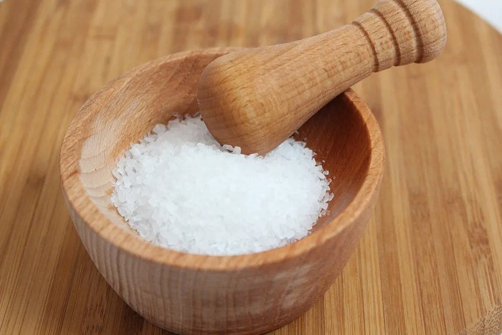 Why Does Salt Enhance Flavor?
