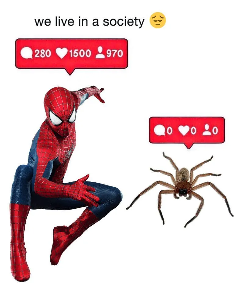 spiderman and spider template
